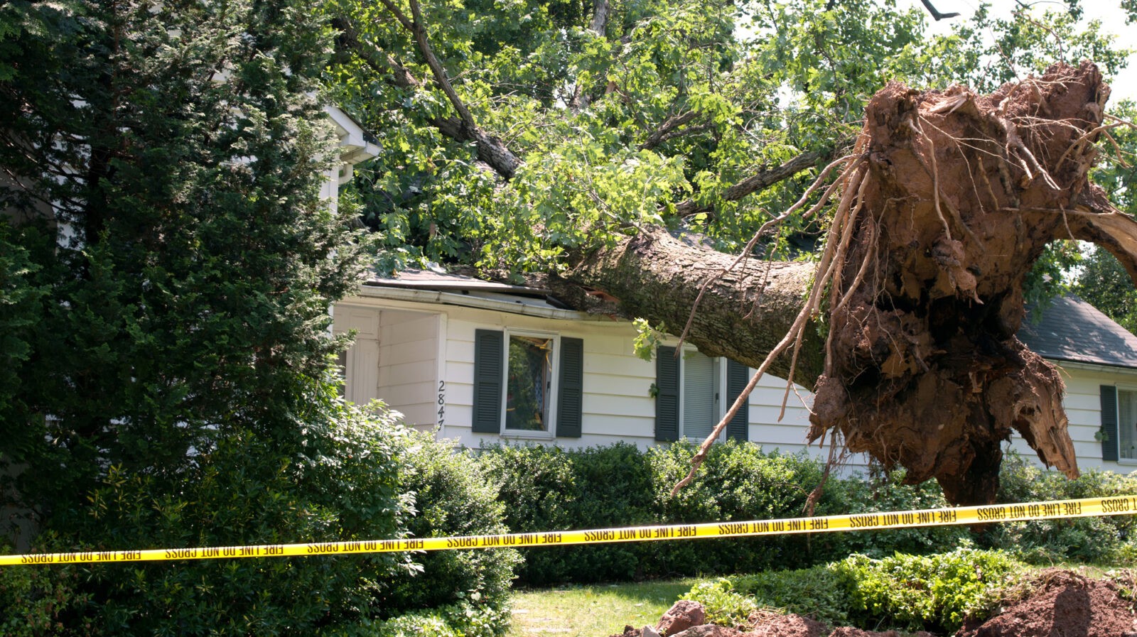 Leads Wind Damage Specialists